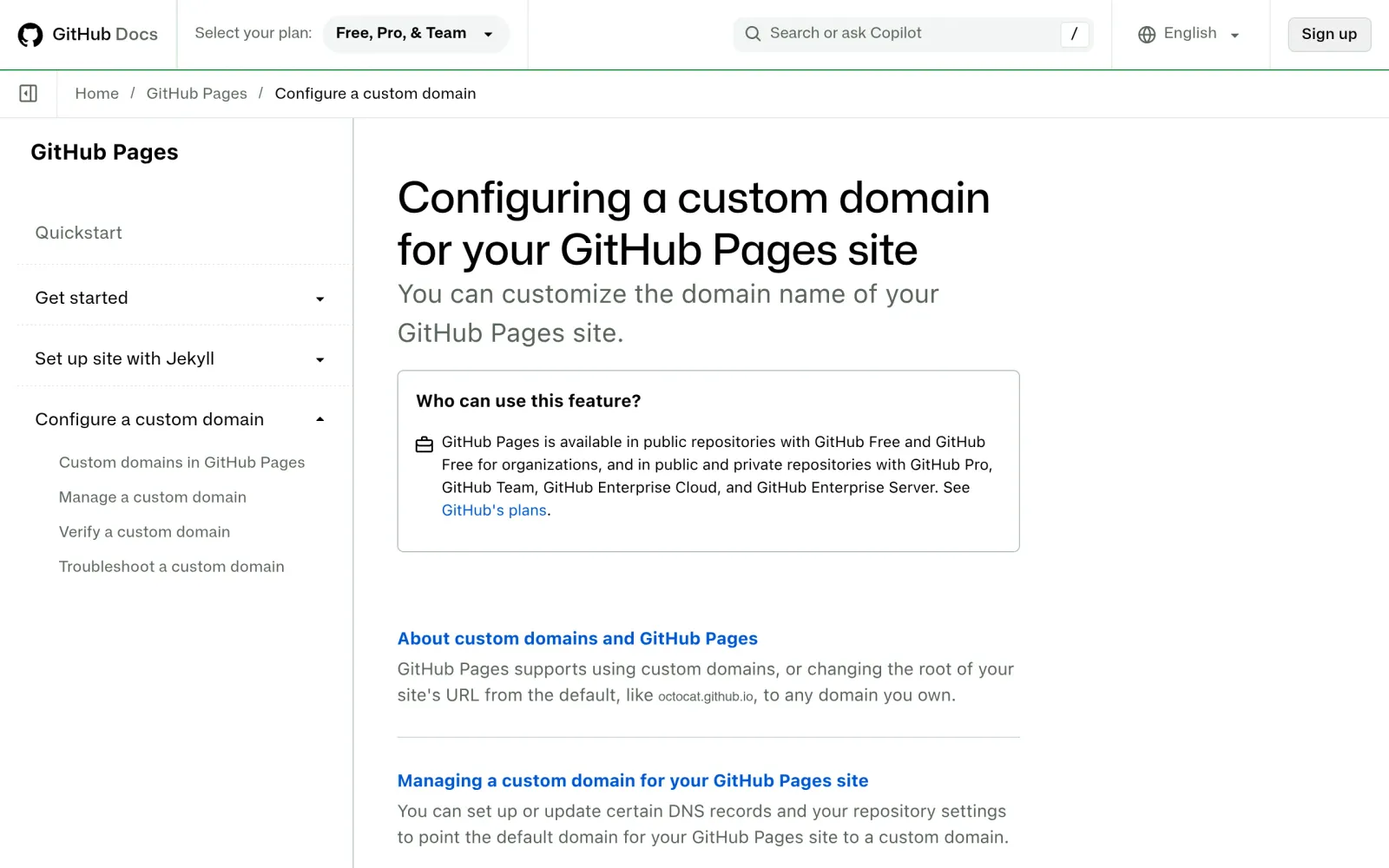 Official custom domain documentation